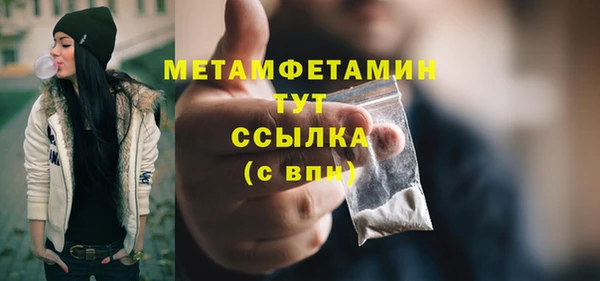 прущие грибы Переславль-Залесский